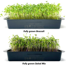 Load image into Gallery viewer, Microgreens Grow Kit