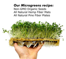 Load image into Gallery viewer, Microgreens Grow Kit
