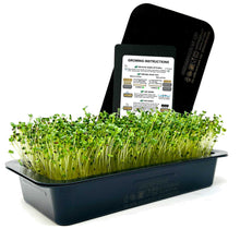 Load image into Gallery viewer, Microgreens Grow Kit