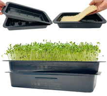 Load image into Gallery viewer, Microgreens Grow Kit