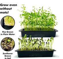 Load image into Gallery viewer, Microgreens Grow Kit