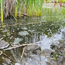 Load image into Gallery viewer, Crocodile Alligator Garden Decor Mold, Concrete Cement Mold, Croc for Garden Figure, DIY Outdoor Decor, Crocodile Statue for Garden