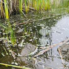 Load image into Gallery viewer, Crocodile Alligator Garden Decor Mold, Concrete Cement Mold, Croc for Garden Figure, DIY Outdoor Decor, Crocodile Statue for Garden