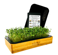 Load image into Gallery viewer, Microgreens Grow Kit